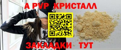 прущие грибы Заволжье