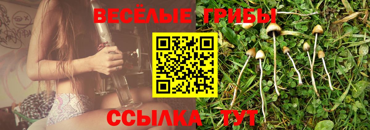 Галлюциногенные грибы прущие грибы Людиново